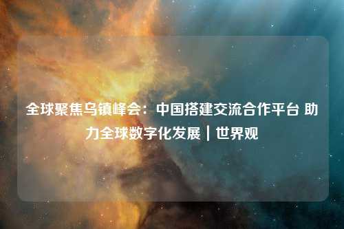 全球聚焦乌镇峰会：中国搭建交流合作平台 助力全球数字化发展｜世界观