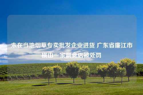 未在当地烟草专卖批发企业进货 广东省廉江市横山一家副食店被处罚