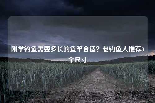 刚学钓鱼需要多长的鱼竿合适？老钓鱼人推荐3个尺寸