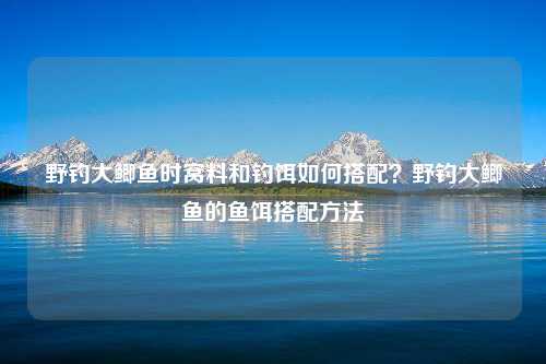 野钓大鲫鱼时窝料和钓饵如何搭配？野钓大鲫鱼的鱼饵搭配方法