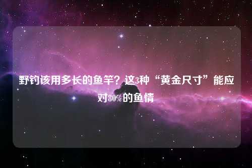 野钓该用多长的鱼竿？这3种“黄金尺寸”能应对80%的鱼情