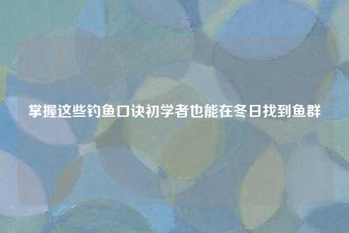 掌握这些钓鱼口诀初学者也能在冬日找到鱼群