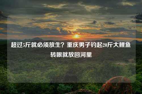 超过5斤就必须放生？重庆男子钓起20斤大鲤鱼转眼就放回河里