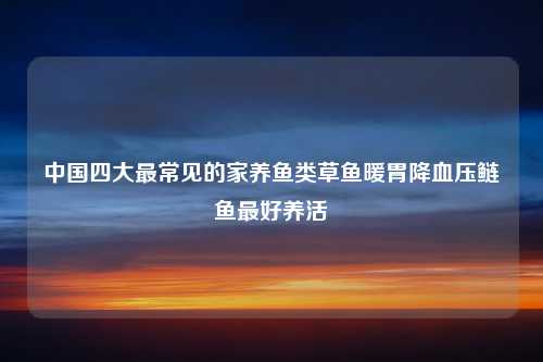 中国四大最常见的家养鱼类草鱼暖胃降血压鲢鱼最好养活