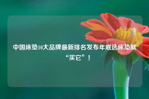 中国床垫10大品牌最新排名发布年底选床垫就“买它”！