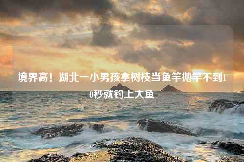 境界高！湖北一小男孩拿树枝当鱼竿抛竿不到10秒就钓上大鱼