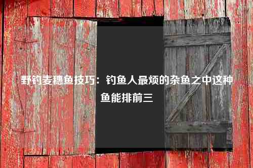 野钓麦穗鱼技巧：钓鱼人最烦的杂鱼之中这种鱼能排前三