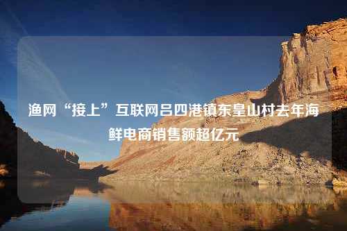 渔网“接上”互联网吕四港镇东皇山村去年海鲜电商销售额超亿元