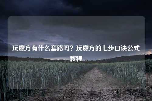 玩魔方有什么套路吗？玩魔方的七步口诀公式教程