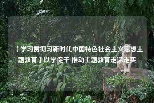 【学习贯彻习新时代中国特色社会主义思想主题教育】以学促干 推动主题教育走深走实