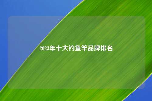 2023年十大钓鱼竿品牌排名