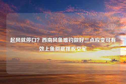 起风就停口？西南风鱼难钓做好三点应变可有效上鱼彻底摆脱空军