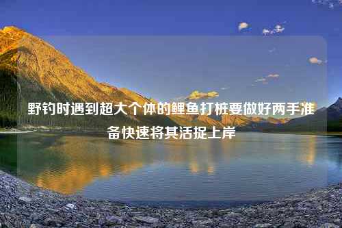 野钓时遇到超大个体的鲤鱼打桩要做好两手准备快速将其活捉上岸