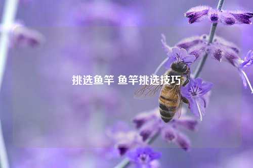 挑选鱼竿 鱼竿挑选技巧