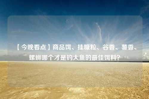 【今晚看点】商品饵、挂糠粒、谷香、薯香、螺蛳哪个才是钓大鱼的最佳饵料？