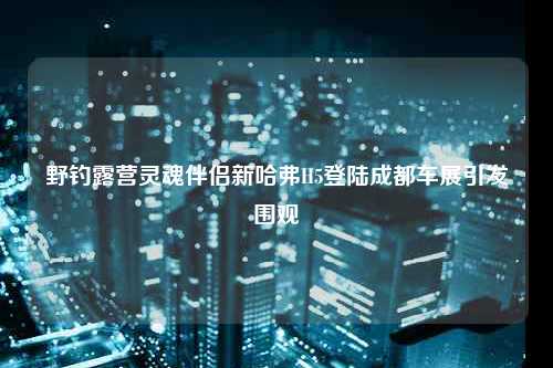 野钓露营灵魂伴侣新哈弗H5登陆成都车展引发围观