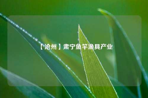 【沧州】肃宁鱼竿渔具产业