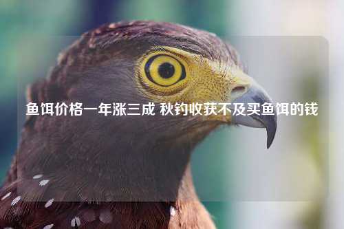 鱼饵价格一年涨三成 秋钓收获不及买鱼饵的钱