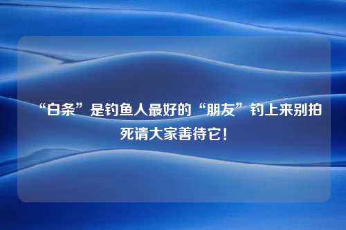 “白条”是钓鱼人最好的“朋友”钓上来别拍死请大家善待它！