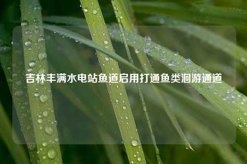 吉林丰满水电站鱼道启用打通鱼类洄游通道