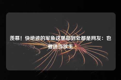 羡慕！快绝迹的军鱼这里却到处都是网友：也要适当放生