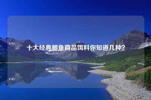 十大经典鲫鱼商品饵料你知道几种？