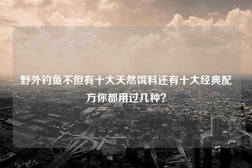 野外钓鱼不但有十大天然饵料还有十大经典配方你都用过几种？