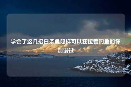 学会了这几招白条鱼照样可以狂拉爱钓鱼的你别错过