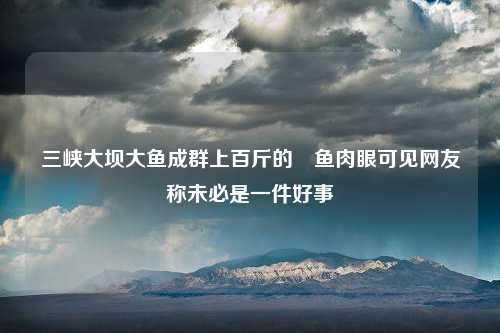 三峡大坝大鱼成群上百斤的鳡鱼肉眼可见网友称未必是一件好事