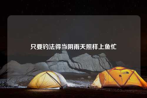 只要钓法得当阴雨天照样上鱼忙