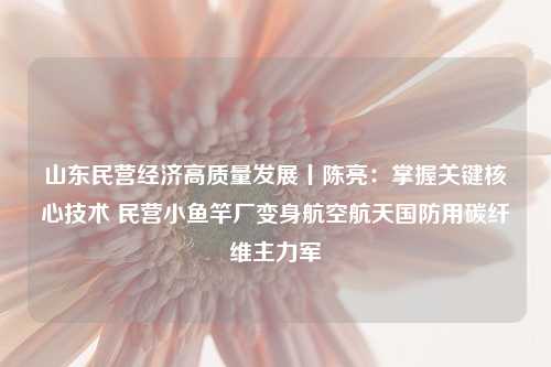 山东民营经济高质量发展丨陈亮：掌握关键核心技术 民营小鱼竿厂变身航空航天国防用碳纤维主力军