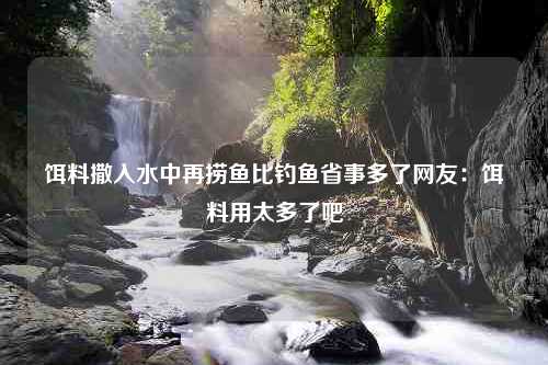 饵料撒入水中再捞鱼比钓鱼省事多了网友：饵料用太多了吧