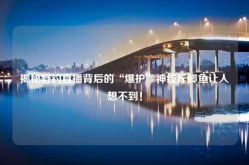 揭秘野钓直播背后的“爆护”神线斤鲫鱼让人想不到！