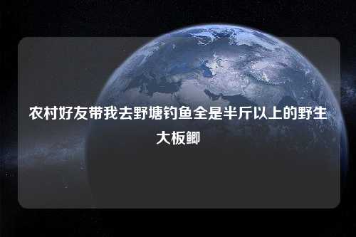 农村好友带我去野塘钓鱼全是半斤以上的野生大板鲫