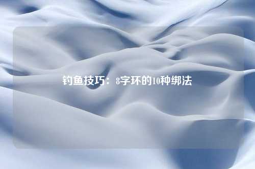 钓鱼技巧：8字环的10种绑法