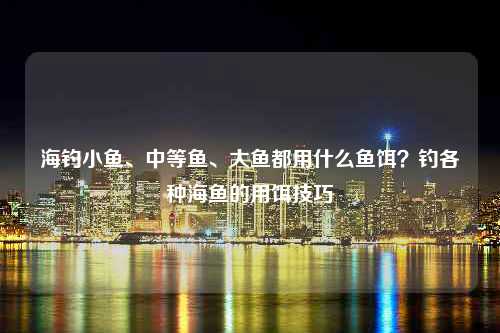 海钓小鱼、中等鱼、大鱼都用什么鱼饵？钓各种海鱼的用饵技巧