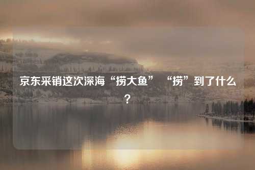 京东采销这次深海“捞大鱼” “捞”到了什么？