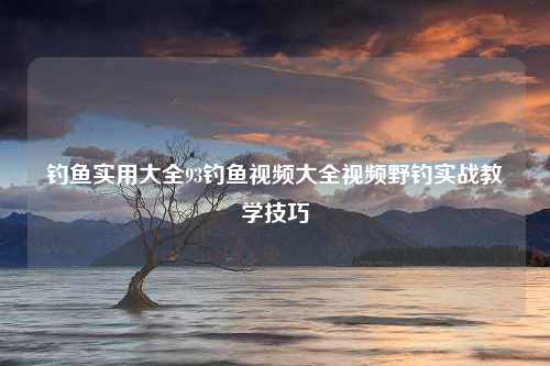 钓鱼实用大全93钓鱼视频大全视频野钓实战教学技巧
