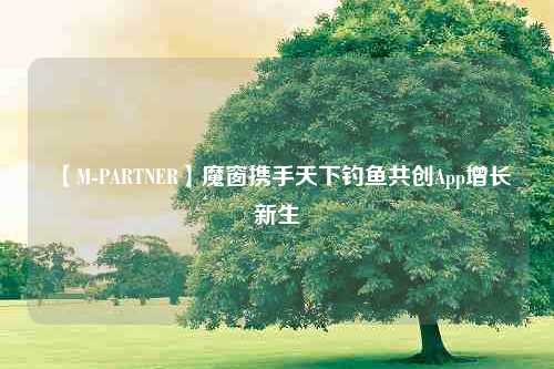 【M-PARTNER】魔窗携手天下钓鱼共创App增长新生