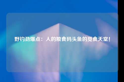 野钓劲爆点：人的粮食码头鱼的觅食天堂！