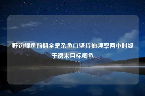 野钓鲫鱼前期全是杂鱼口坚持抽频率两小时终于诱来目标鲫鱼