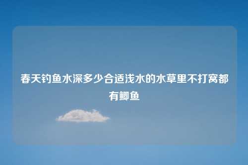 春天钓鱼水深多少合适浅水的水草里不打窝都有鲫鱼