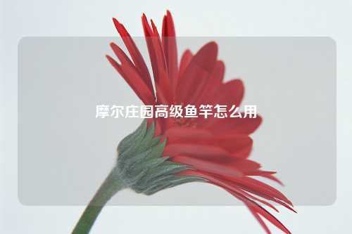 摩尔庄园高级鱼竿怎么用