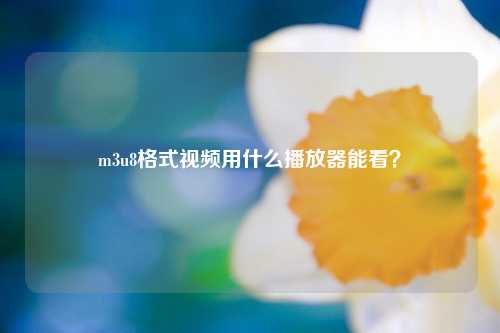 m3u8格式视频用什么播放器能看？