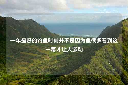 一年最好的钓鱼时刻并不是因为鱼很多看到这一幕才让人激动