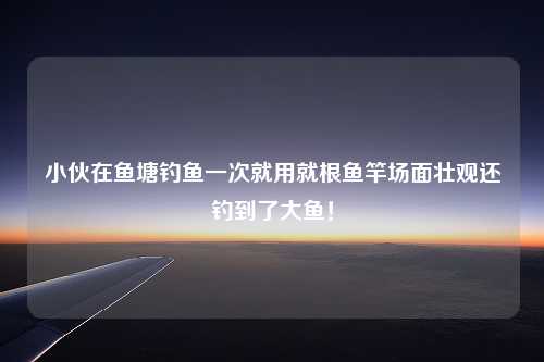 小伙在鱼塘钓鱼一次就用就根鱼竿场面壮观还钓到了大鱼！