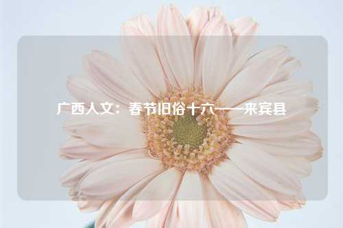 广西人文：春节旧俗十六——来宾县