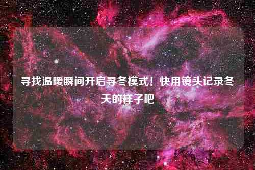 寻找温暖瞬间开启寻冬模式！快用镜头记录冬天的样子吧