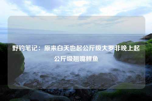 野钓笔记：原来白天也起公斤级大罗非晚上起公斤级翘嘴鲤鱼