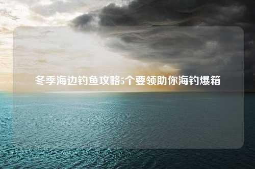 冬季海边钓鱼攻略5个要领助你海钓爆箱